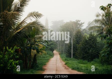 Scène rurale - Thaïlande campagne ferme villege route entre arbre verdoyant et jardin Durian Banque D'Images