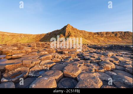 Colonnes de basalte du plateau de Thuléan visibles à la chaussée des géants sur la côte de la chaussée du comté d'Antrim en Irlande du Nord Banque D'Images