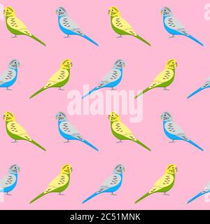 Motif sans couture avec perroquets colorés. Répétition de l'arrière-plan avec des symboles d'oiseau animal de compagnie en forme de bourgeonnement. Illustration de Vecteur