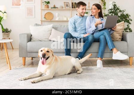 Jeune couple heureux assis sur un canapé avec pc et chien Banque D'Images