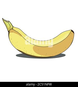 Banane isolé sur fond blanc Illustration de Vecteur