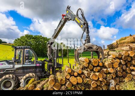 Logset 6F GT transitaire tout-terrain apportant des grumes de la forêt à l'accès au bord de la route - sud-Touraine, France. Banque D'Images