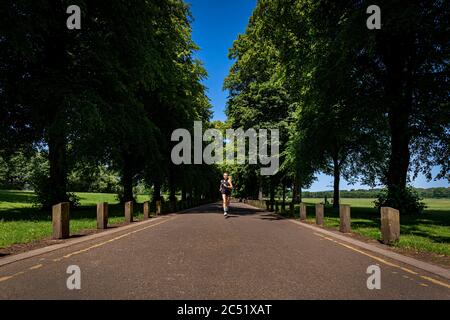CARDIFF, ROYAUME-UNI. 24 juin 2020. L'athlète HokaOneOne et la athlète de Grande-Bretagne Jenny Nesbitt s'entraîne à Bute Park, Cardiff, pays de Galles. Photo de Matthew Lofthouse Banque D'Images