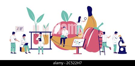 Recherche sur les additifs alimentaires, illustration de la conception de type plat Vector Illustration de Vecteur