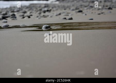Fonds naturels et textures de galets, pierres et rochers sur la plage du sud du pays de Galles. Gros plan des motifs de tailles différentes. Banque D'Images