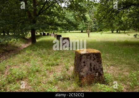 Barrière anti-char dans la lande de Wahner, Troisdorf-Altenrath, Rhénanie-du-Nord-Westphalie, Allemagne. Panzersperren in der Wahner Heide, Troisdorf-Altenrath, Banque D'Images