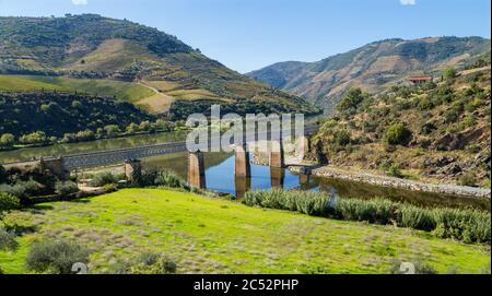 Vue panoramique sur la vallée du Douro et la rivière avec ses vignobles en terrasse près du village de Tua, Portugal Banque D'Images