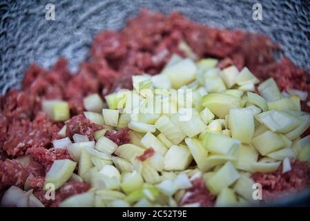 Viande hachée avec oignons Banque D'Images