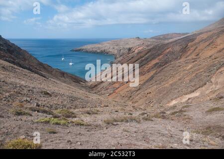 Faune iin Cap Sao Laurenço île volcanique dans l'océan Atlantique-Madère île Banque D'Images