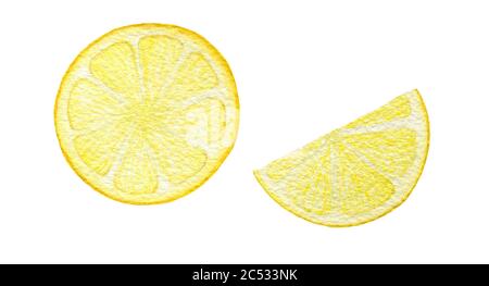 tranches de citron aquarelle isolées sur blanc, illustration de fruits aigre, dessin de fruits citron Banque D'Images