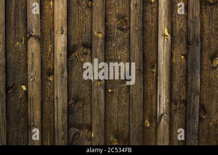 La texture de l'arbre est brun foncé avec des nervures et des nœuds. Banque D'Images