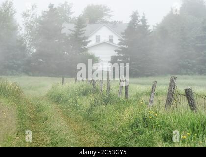 Un chemin à travers un paysage rural brumeux. Banque D'Images