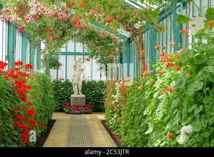 Vue intérieure - serres royales de Laeken - Château royal de Laeken - Bruxelles, Belgique Banque D'Images