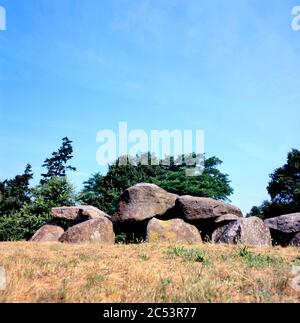 dolmen préhistorique, Hunebed DXLI à Emmen, pays-Bas. Tombe d'environ 5400 ans, construit autour de 3400 av. J.-C. Banque D'Images
