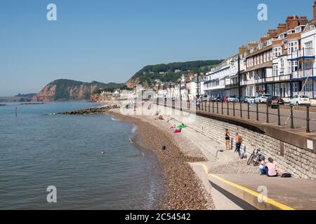 Le hêtre et le front de mer, Sidmouth, Devon Banque D'Images