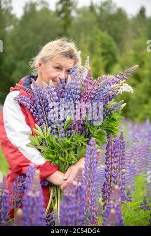 Une femme plus âgée se tient avec un énorme bouquet de lupins lumineux. Banque D'Images