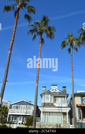 Venice Beach, Californie, connue pour son esprit bohème, Venise est une ville balnéaire animée avec des poches commerciales et résidentielles haut de gamme. Esprit libre Banque D'Images