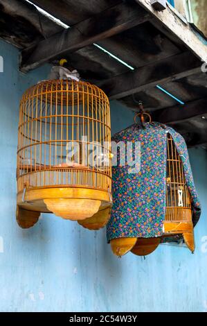 Deux cages rondes en bois tressé pour oiseaux sur un marché au Vietnam. Une cage est recouverte d'un tissu bleu. Arrière-plan un mur bleu. Banque D'Images