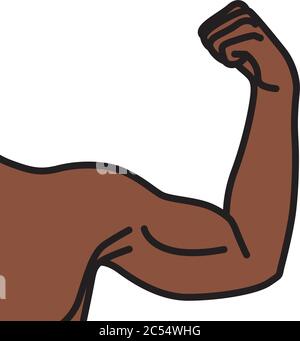 Bras mâles avec muscles biceps fléchis Illustration de Vecteur