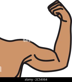 Bras mâles avec muscles biceps fléchis Illustration de Vecteur