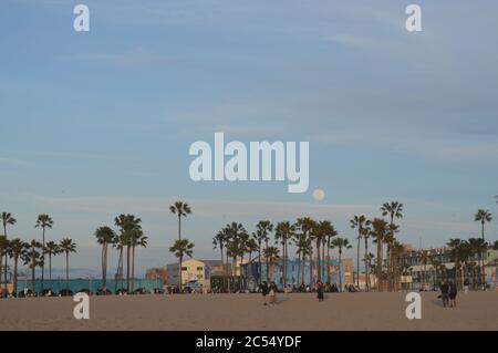 Venice Beach, Californie, connue pour son esprit bohème, Venise est une ville balnéaire animée avec des poches commerciales et résidentielles haut de gamme. Esprit libre Banque D'Images