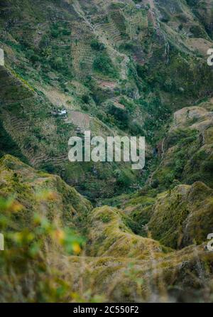 Santo Antao, Cap-Vert. Vue de dessus de Delgadinho crête de montagne en bas de la vallée avec des plantations locales. Banque D'Images