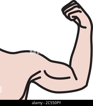 Bras mâles avec muscles biceps fléchis Illustration de Vecteur