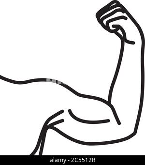 Bras mâles avec muscles biceps fléchis Illustration de Vecteur