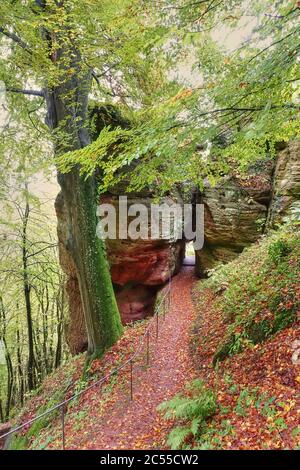 Formation de roches sur la Klause près de Kastel-Staadt, vallée de Saar, Rhénanie-Palatinat, Allemagne Banque D'Images