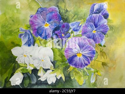 Peinture aquarelle de pansies bleues et blanches sur fond vert Banque D'Images