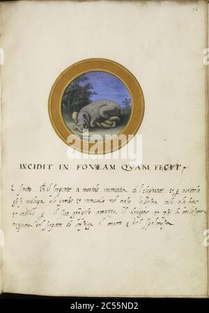 Italien - Livre Leaf from Emblem Banque D'Images