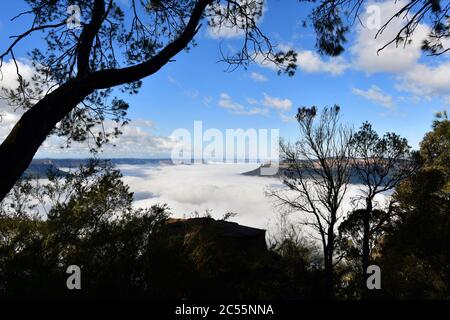 Vue sur sublime point dans les Blue Mountains montrant la brume dans la vallée Banque D'Images