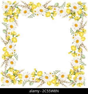 Cadre vectoriel avec marguerites et fleurs sauvages jaunes et épis de blé. Illustration de Vecteur