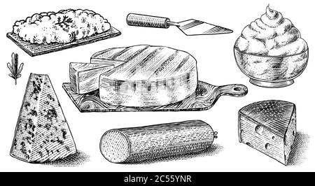 Ensemble de fromages. Tranches de Mascarpone Bleu de Gex Edam Camembert Mozzarella pour le marché ou l'épicerie. Cheesboard et lait frais bio. Vecteur Illustration de Vecteur