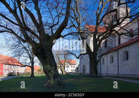 Kaiserdom, Stiftskirche, Koenigslutter am Elm, Basse-Saxe, Allemagne, Europe Banque D'Images