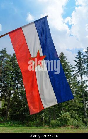 Ancien drapeau de l'ex-Yougoslavie dans une forêt de montagne Banque D'Images