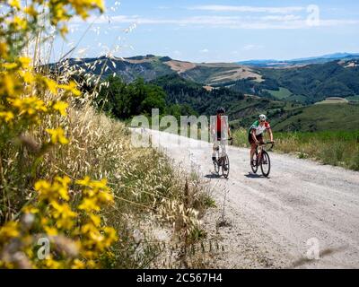 Deux cyclistes en tournée dans l'Apennin sur une route de montagne solitaire, route de gravier, Strade Bianchi près de Predappio, province de Rimini dans l'Emilia-Romag Banque D'Images