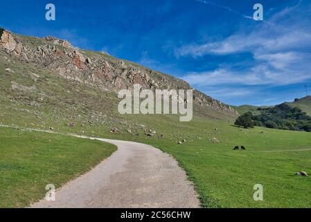 Photo panoramique du paysage dans la réserve régionale de Mission Peak, située à Fremont, États-Unis Banque D'Images