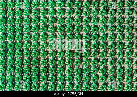 La surface d'un tapis de massage vert en gros plan. Banque D'Images