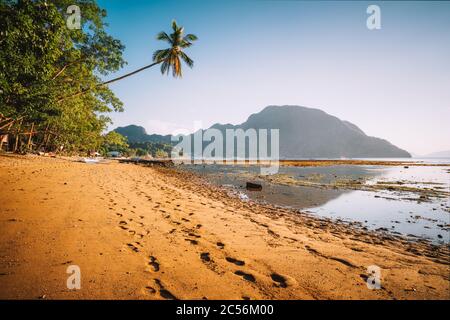 Le littoral du village d'El Nido, avec plage de sable et palmiers et bateaux locaux dans un lagon peu profond à la lumière dorée du coucher du soleil. Palawan. Philippines. Banque D'Images