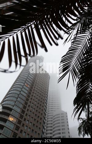 Gros plan de gratte-ciel avec des hauts dans le brouillard avec caméra vue dans le ciel Banque D'Images