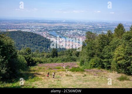 Vue depuis le Königstuhl, Heidelberg, Bade-Wurtemberg, Allemagne, Europe Banque D'Images