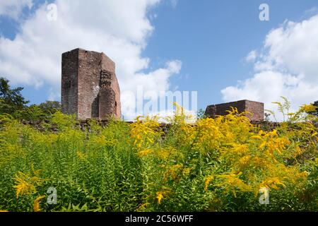 Ruines de l'abbaye Saint-Michel, Heiligenberg, Heidelberg, Bade-Wurtemberg, Allemagne, Europe Banque D'Images