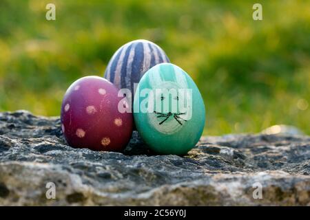 La chasse aux œufs de Pâques la tradition Banque D'Images