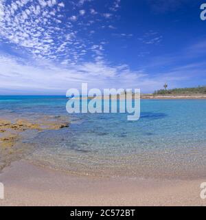 Réserve naturelle de Torre Guaceto : vue sur la côte et les dunes.Italie (Apulia). Maquis méditerranéen : un sanctuaire naturel entre la terre et la mer. Banque D'Images