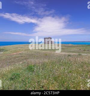 Réserve naturelle de Torre Guaceto : vue sur la côte et les dunes.Italie (Apulia). Maquis méditerranéen : un sanctuaire naturel entre la terre et la mer. Banque D'Images