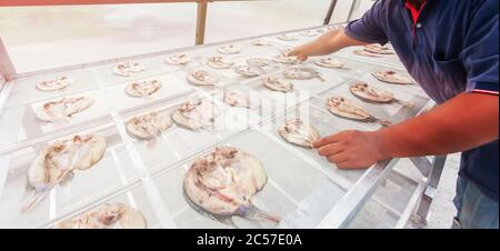 Un fermier asiatique séchant du poisson dans une serre solaire, un produit solaire déshydratant, énergie verte. Concentrez-vous sur les poissons. Banque D'Images