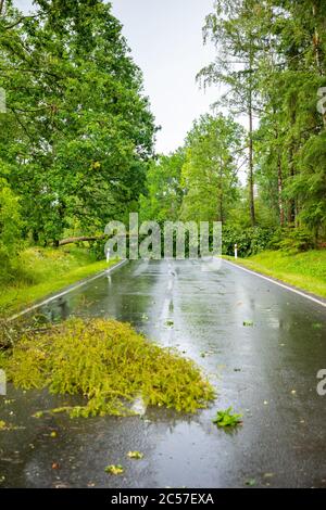Un gros arbre est tombé sur une route rurale en République tchèque Banque D'Images