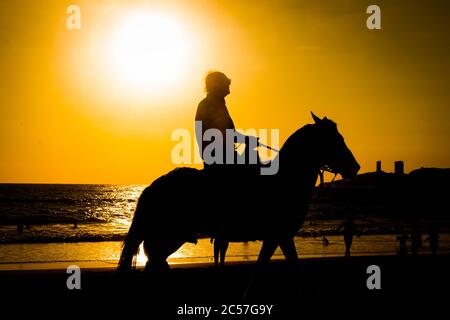 Silhouette d'un homme assis sur le cheval sur le plage au coucher du soleil Banque D'Images