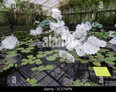 Sculpture de Dale Chihuly's Ethereal White Perse Pond à Kew Gardens, Londres, Royaume-Uni Banque D'Images